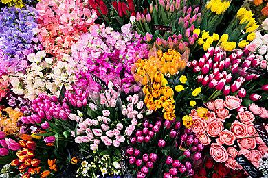 10月欧美服PS+ 二＆三档新增游戏公开 《GTA VC》等入库